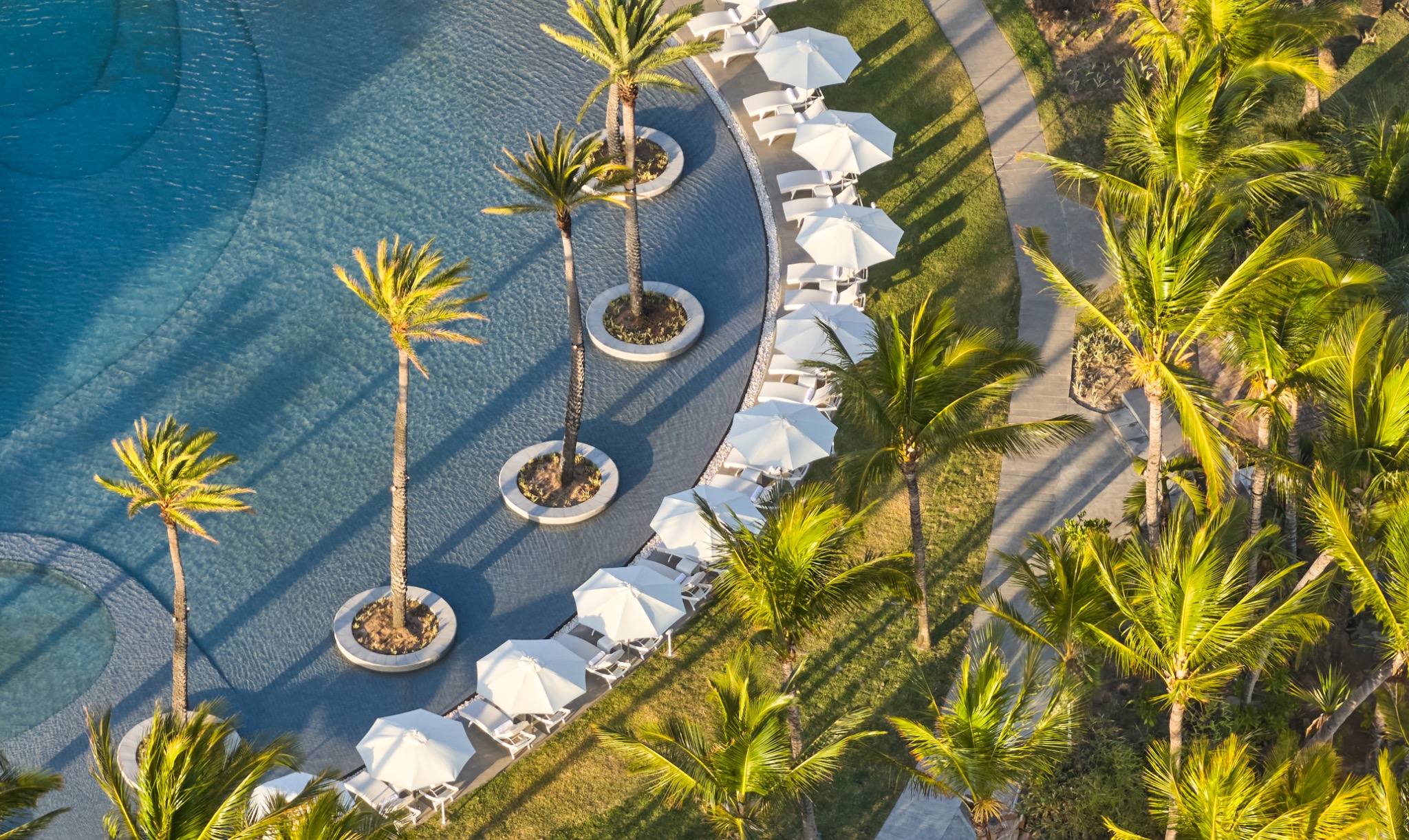 Poollandschaft mit Liegen und Palmen aus der Luft