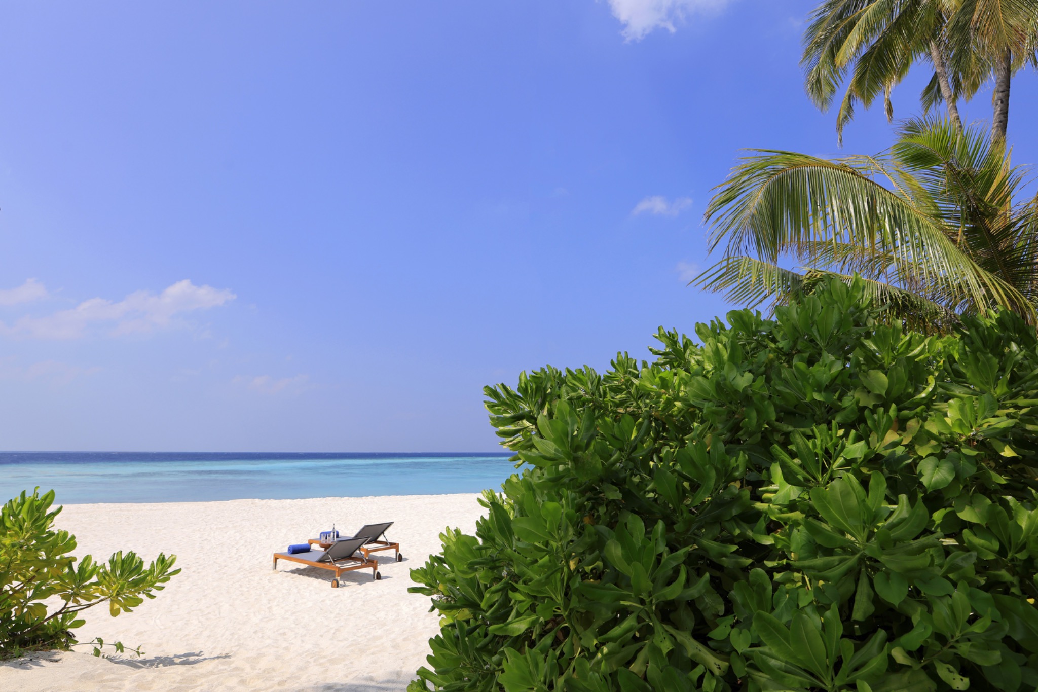Weißer Strand mit Palmen am Avani+ Fares Maldives Resort