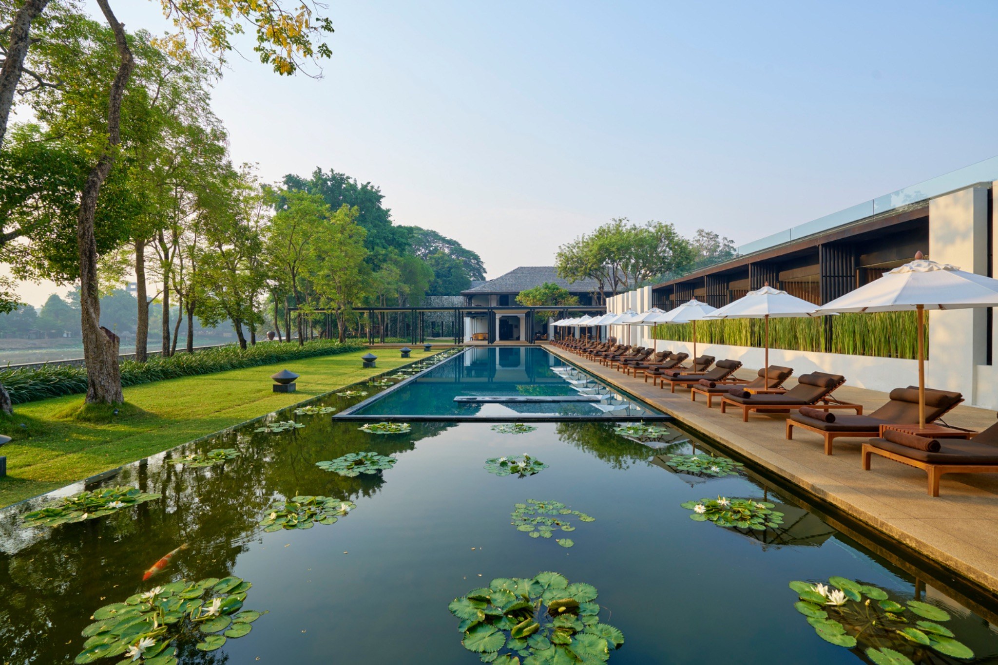 Anantara Chiang Mai – Pool und Lotusteich