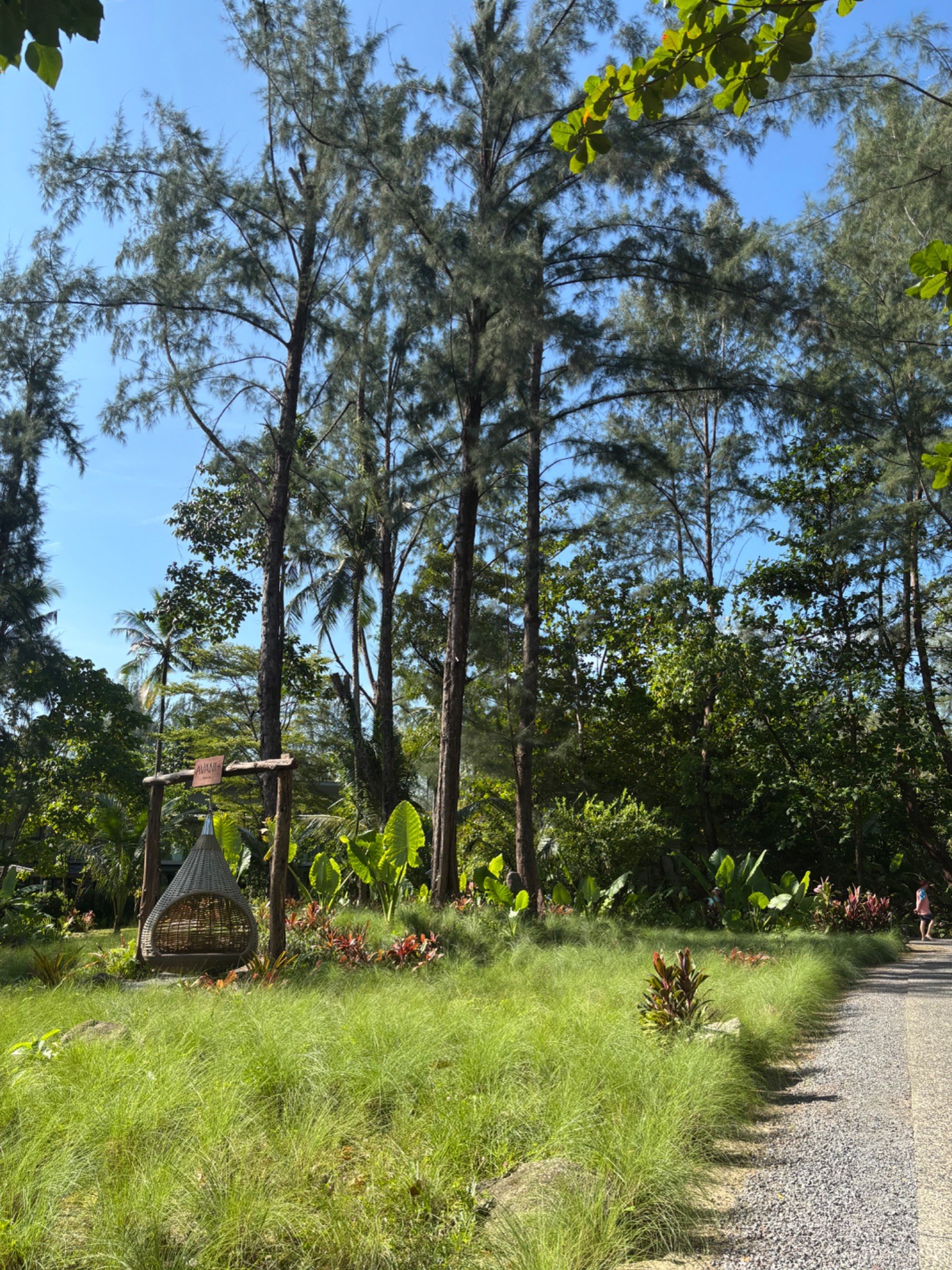 Avani+ Khao Lak – Gartenanlage mit Hängesessel